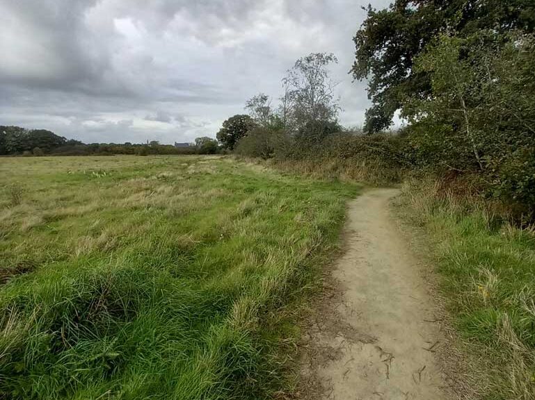 Field-scapes around Chilmington